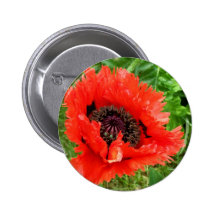 Mohnblume Anstecknadelbutton