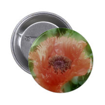 Mohnblume Anstecknadelbuttons