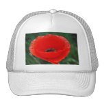 Mohnblumen-Blume und -bedeutung Baseball Caps
