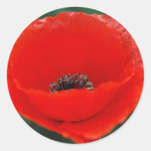 Mohnblumen-Blume und -bedeutung Runder Sticker