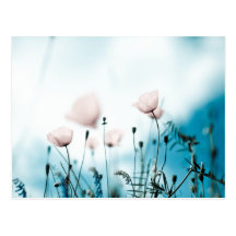 Mohnblumen-Blumen Postkarte