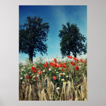 Mohnblumen im Kornfeld No.2 Posterdrucke