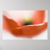 Mohnblumen-Kuss Posterdruck