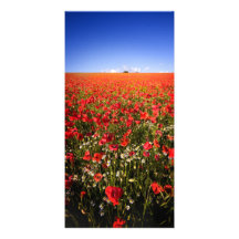Mohnblumenfeld Photo Grußkarte