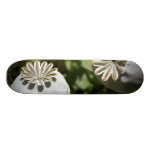 Mohnblumenhülsen-Skateboard Individuelle Skatedecks
