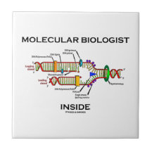 Molekularbiologe-Innere (DNS-Reproduktion) Keramikfliesen