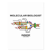 Molekularbiologe-Innere (DNS-Reproduktion) Postkarten