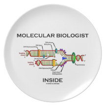 Molekularbiologe-Innere (DNS-Reproduktion) Teller