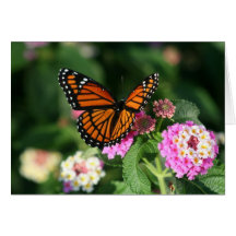Monarch-Schmetterling auf Lantana-Blume Karte