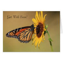 Monarchfalter auf gelber Sonnenblume Karten