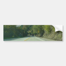 Monterey-Straßen-Bäume Autoaufkleber