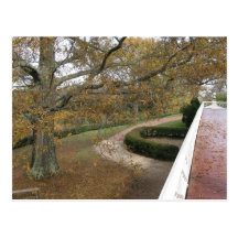 Monticello im Fall Postkarten