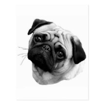 Mops-Hund Postkarte