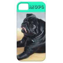 Mops iPhone 5 Cover