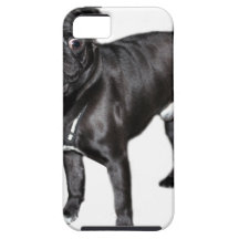 Mops Jack iPhone 5 Etui