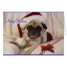 Mops-Weihnachtskarte