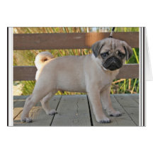 Mops-Welpe Karte