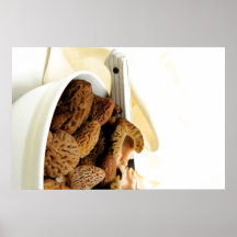 Morchel-Pilz Posterdruck