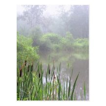Morgen-Nebel auf dem Teich Postkarte