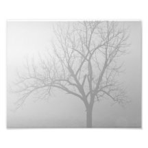 Morgen-Nebel Fotografische Drucke