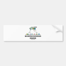 Morphogenese-Innere (Frucht-Fliegen-Taufliege-Gene Autosticker