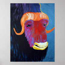 Moschus-Ochse Posterdruck