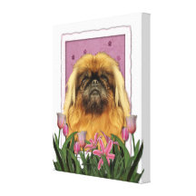 Mothers Day - Pekingese - Pebbles Canvas Print