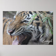 Motivieren Sie, motivierend, Lachen Plakate