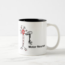 Motoneuron Tasse