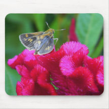 Motte u. Cockscomb Mousepad