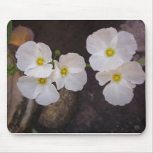 MousePAD1