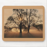 Mousepad, Baum