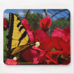 Mousepad - Butterlfly, die auf einer Blume sind zu mauspads