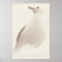 Möve Poster