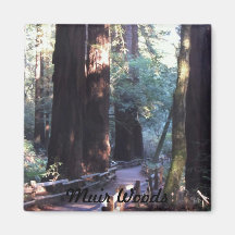 Muir Holz Magnets
