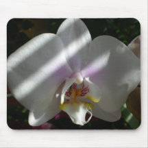 Muismat met orchidee