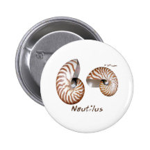 Muschel-Sammlung durch FishTs.com Anstecknadelbuttons