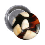 Muscheln Anstecknadelbuttons
