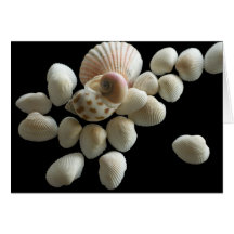 Muscheln Grußkarten