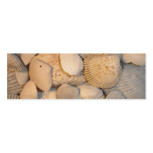 Muscheln-Lesezeichen Visitenkarten Vorlage