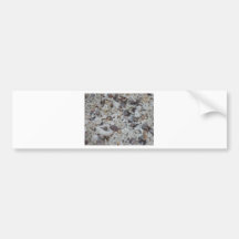Muscheln von Strand Autosticker