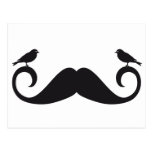 mustache design with birds post cards