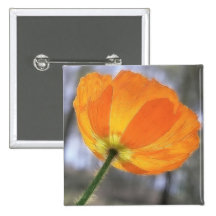 Mutige orange Island-Mohnblume Anstecknadel