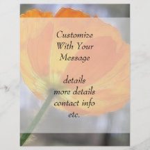 Mutige orange Island-Mohnblume Flyerdesign