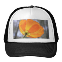 Mutige orange Island-Mohnblume Trucker Mützen