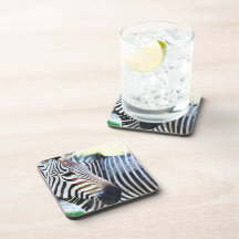 Mutiges Zebra-Set Untersetzer