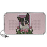Mutter-Tag - rosa Tulpen - Boston Terrier Speaker