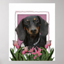 Mutter-Tag - rosa Tulpen - Dackel - Winston Plakatdrucke