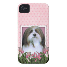 Mutter-Tag - rosa Tulpen - Havanese iPhone 4 Cover