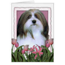 Mutter-Tag - rosa Tulpen - Havanese Karten